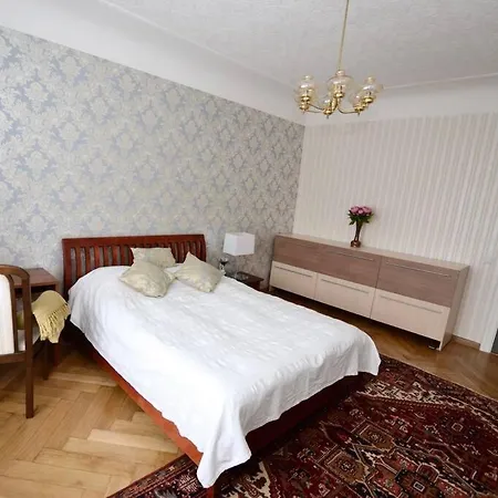 Huge In The Centre Apartment *